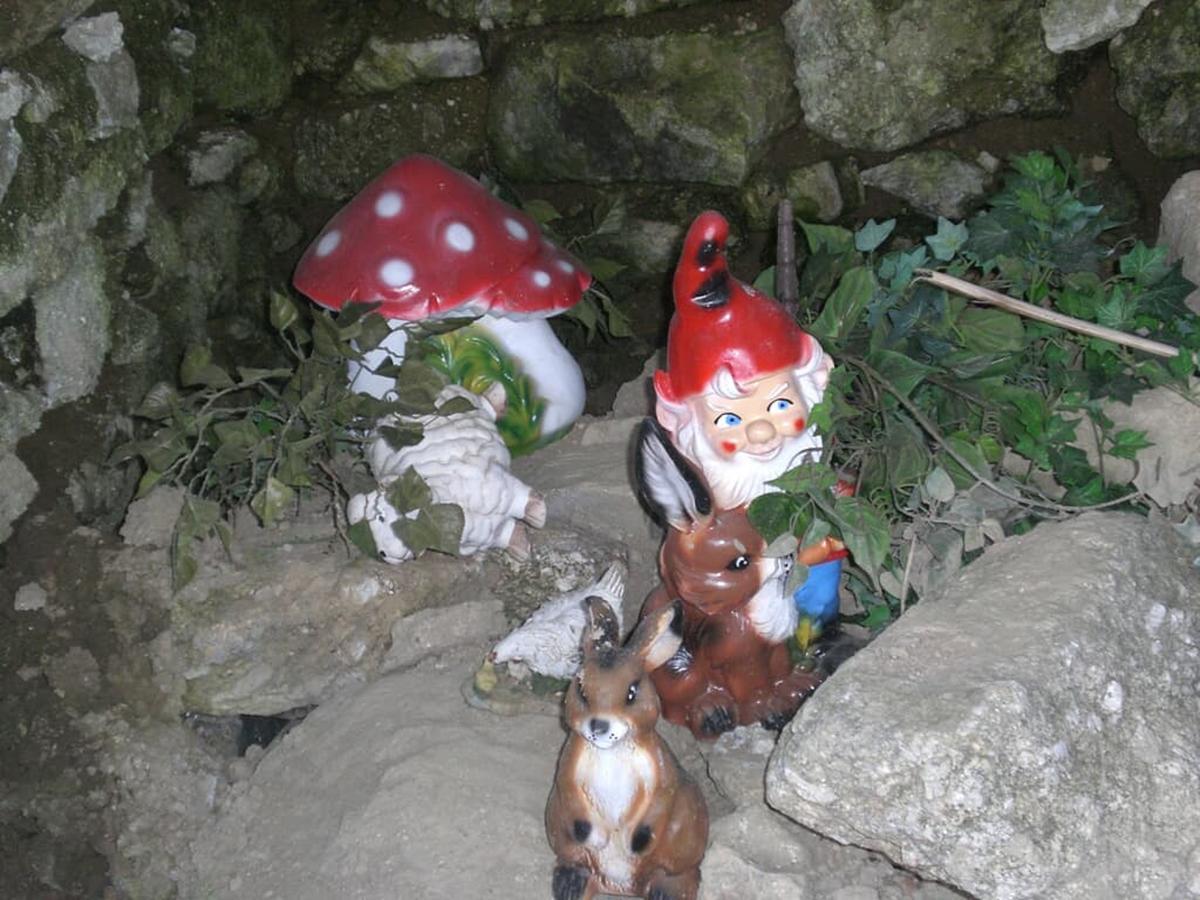 Bauernhofpension Runenhof Haidmuhle Bagian luar foto