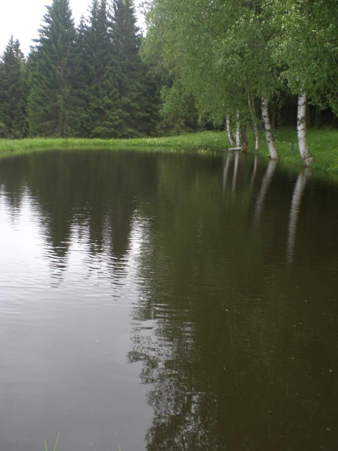 Bauernhofpension Runenhof Haidmuhle Bagian luar foto